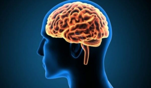 دراسة : الدماغ يميز استخدام لغتين بالفطرة