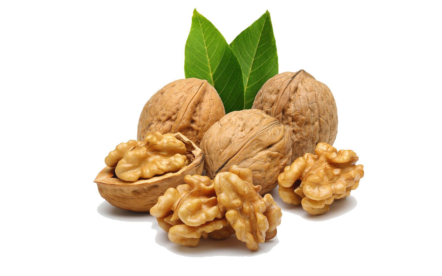 الجوز-عين-الجمل الجوز-عين-الجمل
