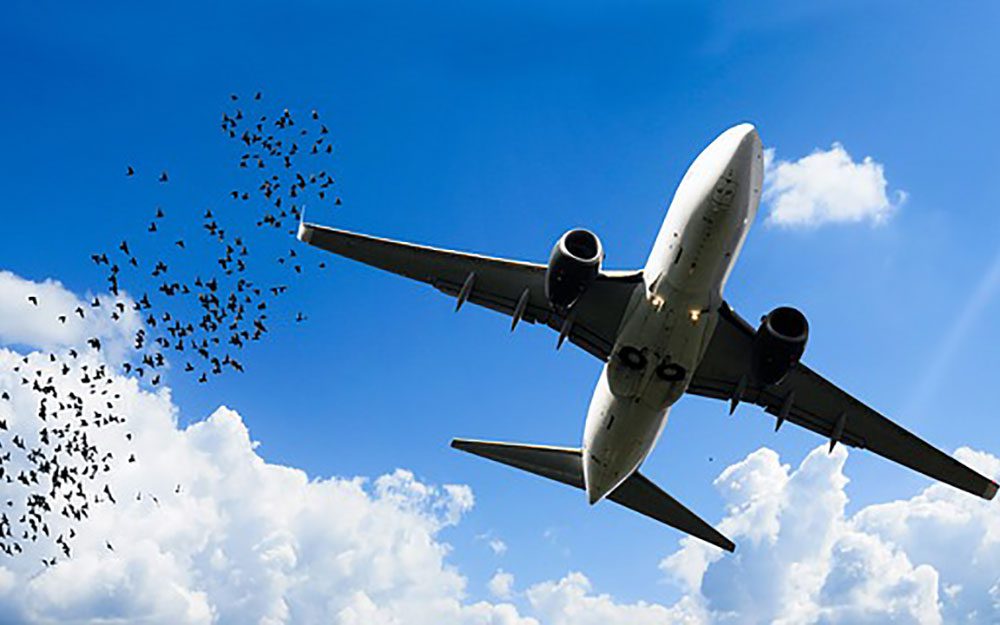 العاب-نارية-وطائرات العاب-نارية-وطائرات