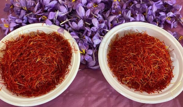 فوائد صحية للزعفران ولكنه خطر في هذه الحالة!