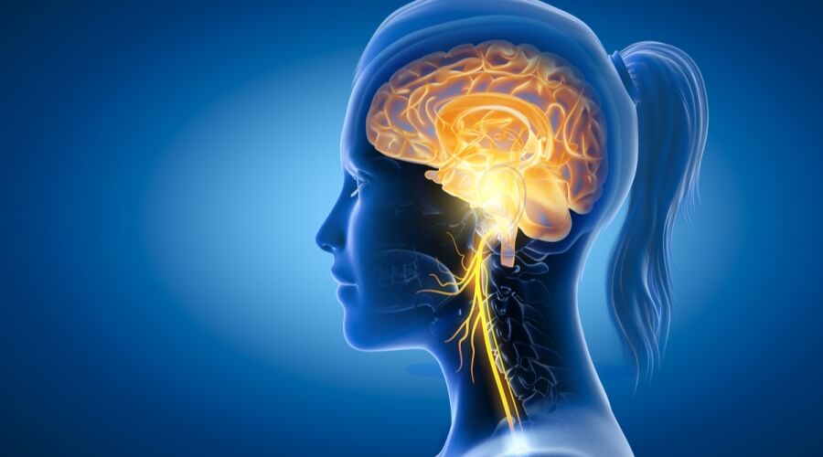 علاج الدممماغ