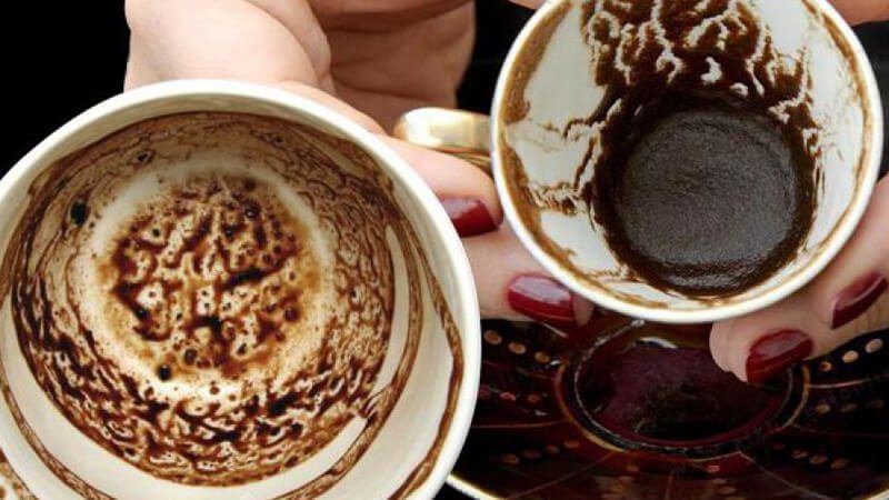 about-3-read-cup about-3-read-cup