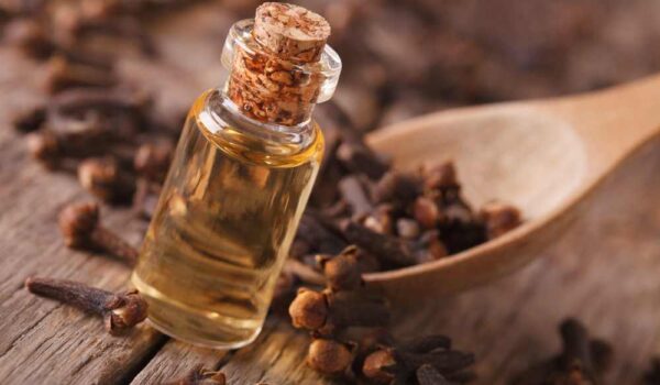 زيت القرنفل.. مسكّن موضعي يفوق الأدوية