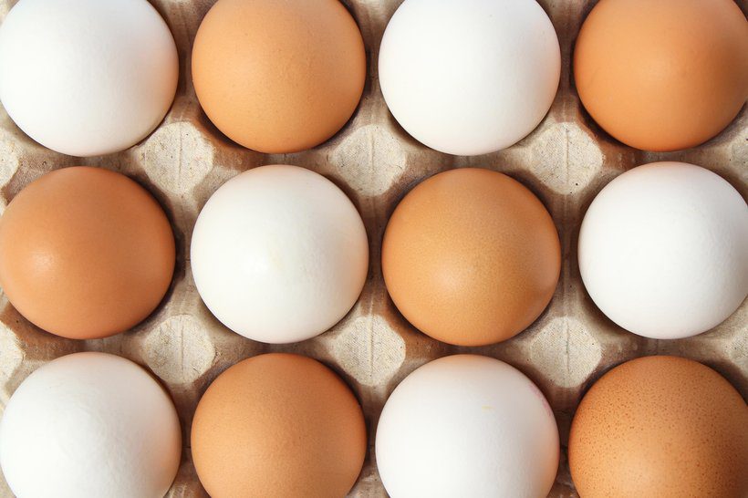brown_white_eggs_resize.width-820 brown_white_eggs_resize.width-820