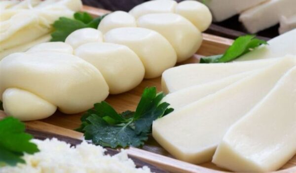 دراسة: استهلاك “الجبن” يقلل من خطر التعرض للخرف