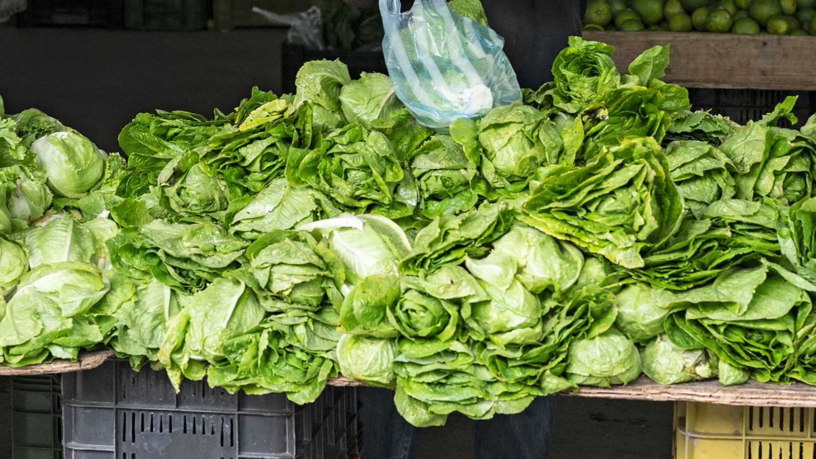 9f60fda0-4576-40bf-aad5-0d18c896dab0