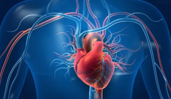 دواء تجريبي واعد يعزز أمل التعافي لمرضى قصور القلب المزمن