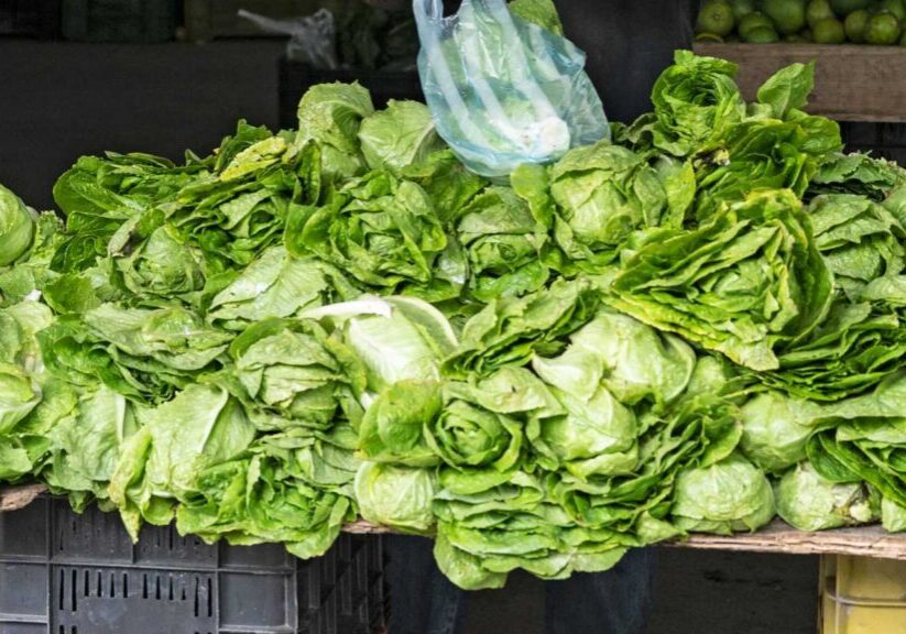 9f60fda0-4576-40bf-aad5-0d18c896dab0